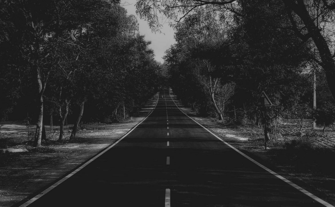 ashu-fxz5zYY_7wo-unsplash