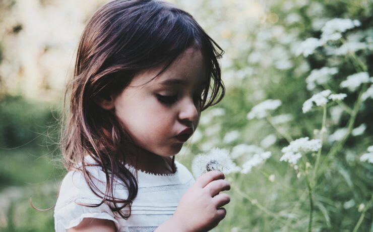 caroline-hernandez-g5NjiLFgYy8-unsplash